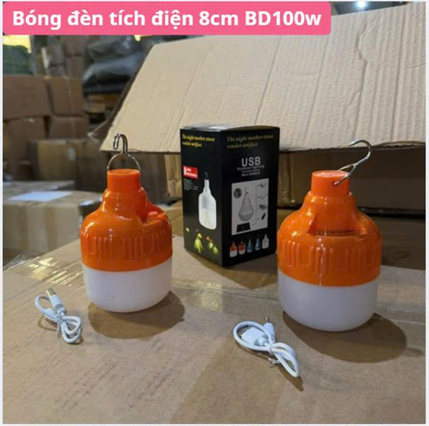 BÓNG ĐÈN TÍCH ĐIỆN 8CM BD100W (100)