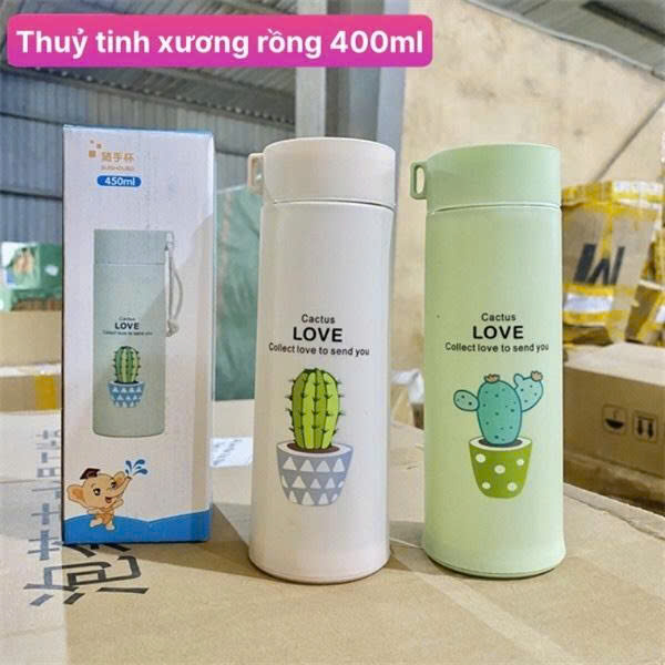 Bình Thủy Tinh Xương Rồng 400ml