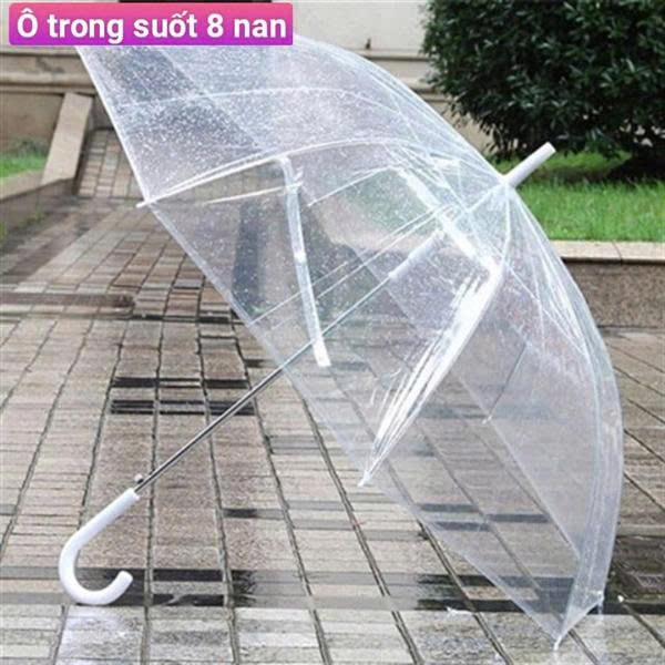 Ô Trong Suốt 8 Nan Cán Dài