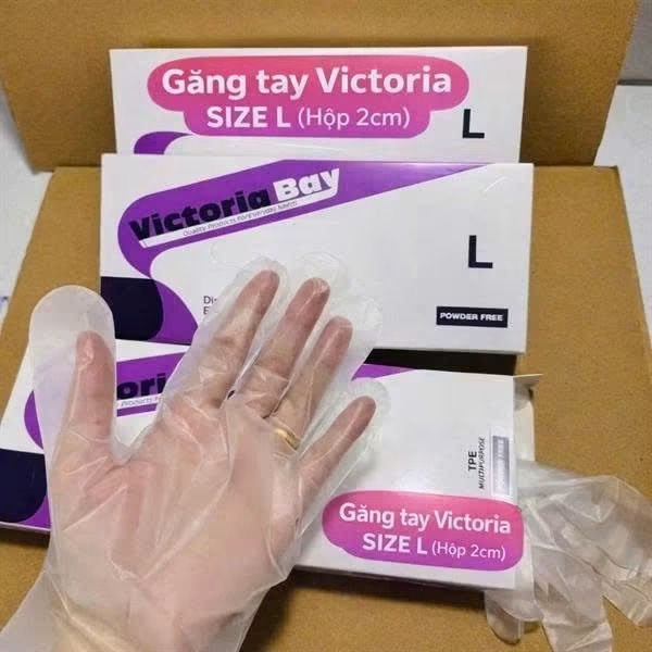 Găng Tay Nilon TPE Victoria Size L Cao Cấp (Hộp Tiện Lợi)
